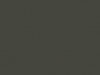 U 39 Olive